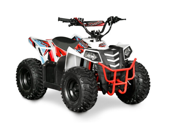 Quad Électrique Enfant HY100EV 1000W Lithium 48V Amovible – 2 Vitesses, Marche Arrière, Freins à Disque, LED